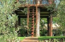 Modelo de Casa na Árvore - Casa na Árvore com Bela Vista Panorâmica