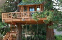 Modelo de Casa na Árvore - Casa na Árvore Apoiada por Duas Grandes Árvores e com uma Bela Varanda