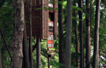 Modelo de Casa na Árvore - Casa na Árvore Camuflada Entre ás Arvores