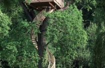 Modelo de Casa na Árvore - Casa na Árvore com Escada em Caracol Abraçando a Árvore