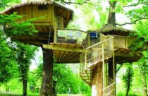 Modelo de Casa na Árvore - Casa na Árvore com Escada em Caracol e Cobertura com Ótimo Isolamento Térmico