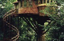 Modelo de Casa na Árvore - Casa na Árvore com Escada em Caracol e Vários Cômodos