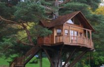 Modelo de Casa na Árvore - Casa na Árvore com Vista para o Lago e Ampla Varanda