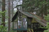Modelo de Casa na Árvore - Casa na Árvore Rustica